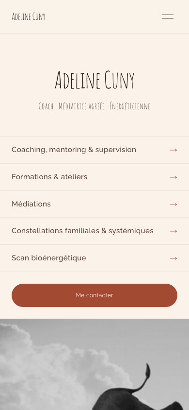 Le site d'Adeline Cuny affiché sur téléphone